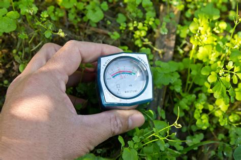 How To Measure Moisture In Soil 